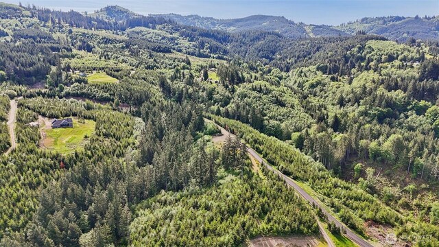 143 Bootjack Ln Lot 1, Kelso, WA 98626 - photo 32