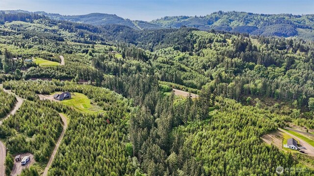 143 Bootjack Ln Lot 1, Kelso, WA 98626 - photo 33
