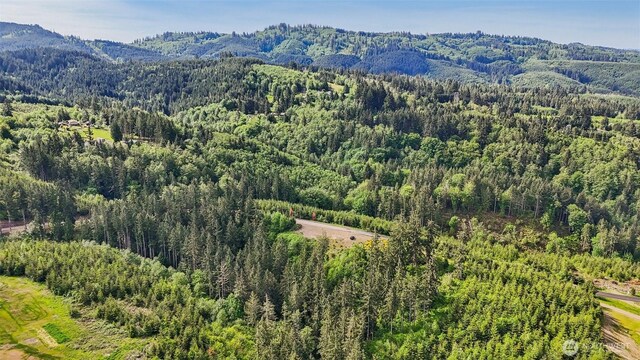 143 Bootjack Ln Lot 1, Kelso, WA 98626 - photo 34