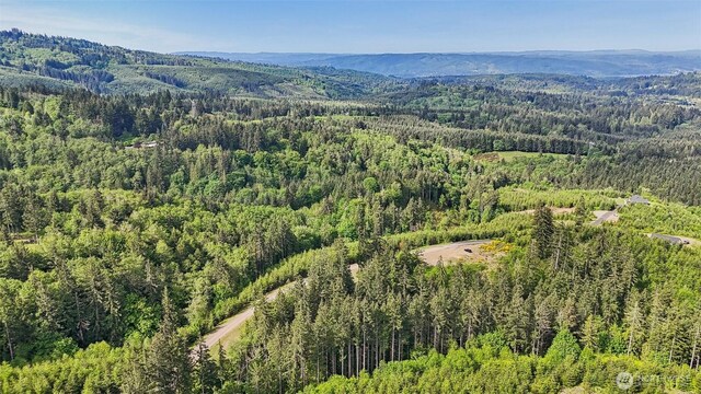 143 Bootjack Ln Lot 1, Kelso, WA 98626 - photo 35