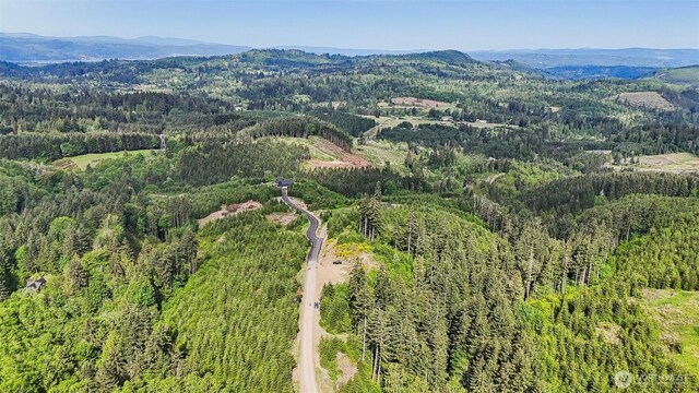 143 Bootjack Ln Lot 1, Kelso, WA 98626 - photo 36