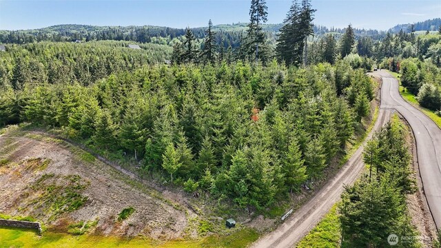 143 Bootjack Ln Lot 1, Kelso, WA 98626 - photo 38
