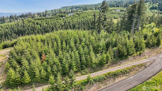 143 Bootjack Ln Lot 1, Kelso, WA 98626 - photo 39