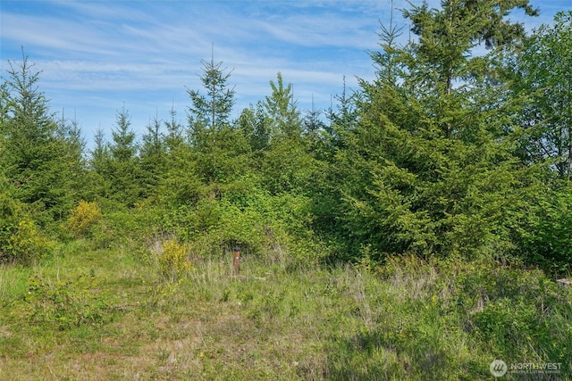 143 Bootjack Ln Lot 2, Kelso, WA 98626 - photo 1