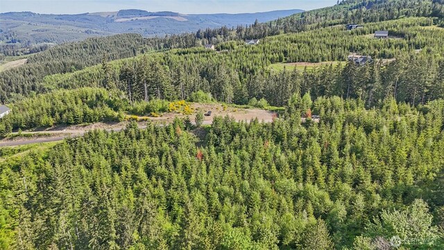 143 Bootjack Ln Lot 2, Kelso, WA 98626 - photo 5