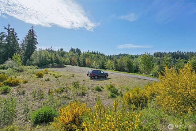 143 Bootjack Ln Lot 2, Kelso, WA 98626 - photo 8
