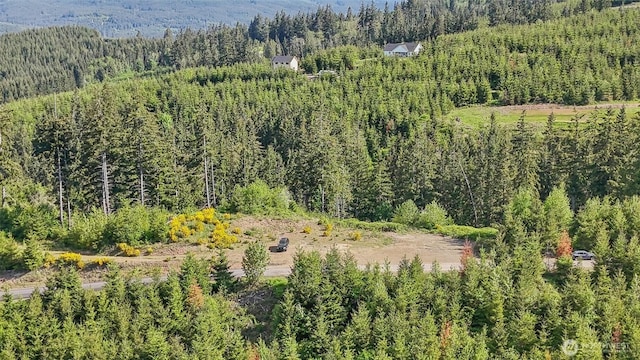 143 Bootjack Ln Lot 2, Kelso, WA 98626 - photo 11