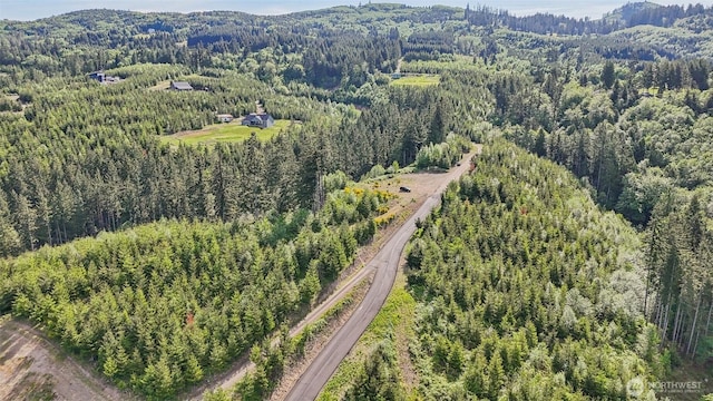143 Bootjack Ln Lot 2, Kelso, WA 98626 - photo 13