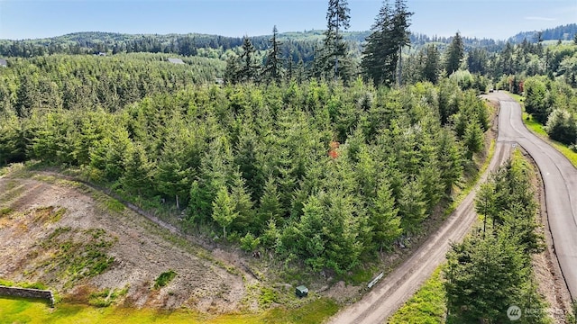 143 Bootjack Ln Lot 2, Kelso, WA 98626 - photo 38