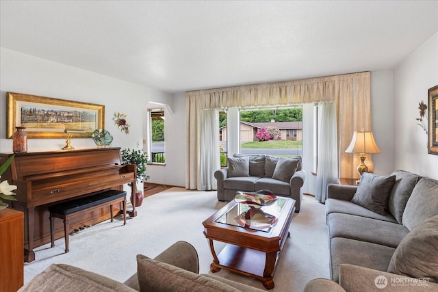 4920 90th Pl SW, Mukilteo, WA 98275 - living area featuring carpet floors