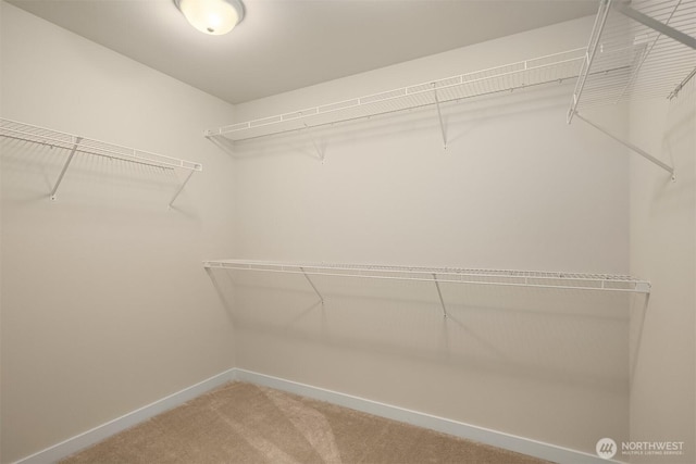 28616 NE 155th St, Duvall, WA 98019 - spacious closet with light colored carpet