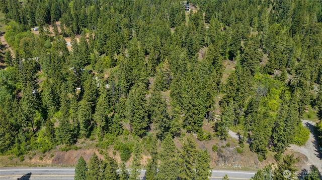 11 Salmon La Sac Hwy, Ronald, WA 98940