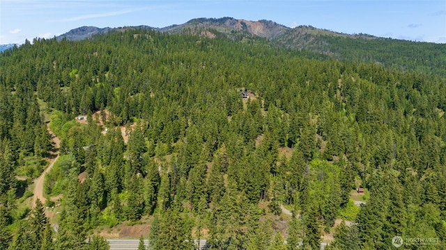 11 Salmon La Sac Hwy, Ronald, WA 98940