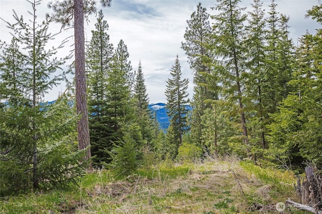 0LOTH R & R Heights Dr, Roslyn, WA 98941