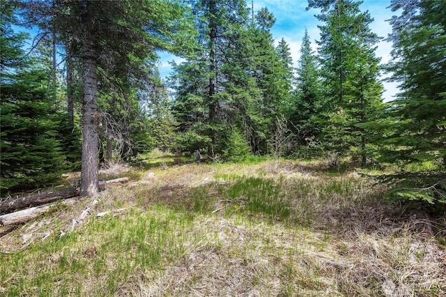 0LOTH R & R Heights Dr, Roslyn, WA 98941