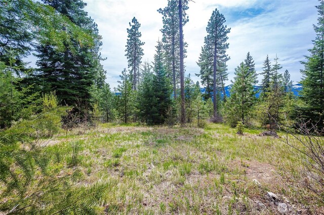 0LOTH R & R Heights Dr, Roslyn, WA 98941