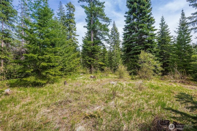 0LOTH R & R Heights Dr, Roslyn, WA 98941