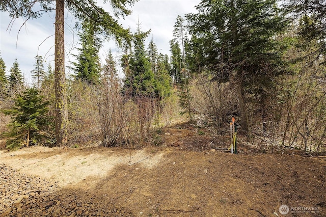 0LOTH R & R Heights Dr, Roslyn, WA 98941