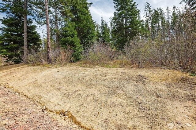 0LOTH R & R Heights Dr, Roslyn, WA 98941