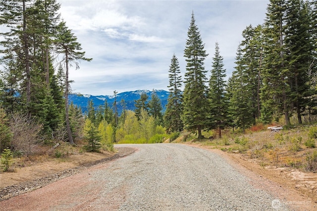 0LOTH R & R Heights Dr, Roslyn, WA 98941