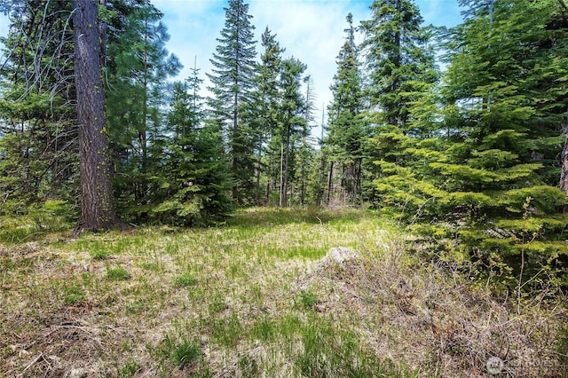 0LOTJ R & R Heights Dr, Roslyn, WA 98941