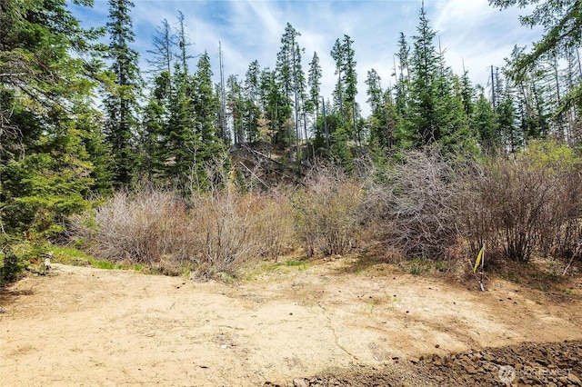 0LOTJ R & R Heights Dr, Roslyn, WA 98941