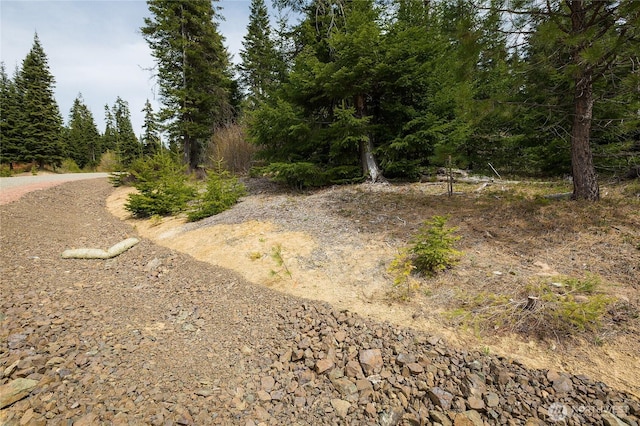 0LOTJ R & R Heights Dr, Roslyn, WA 98941