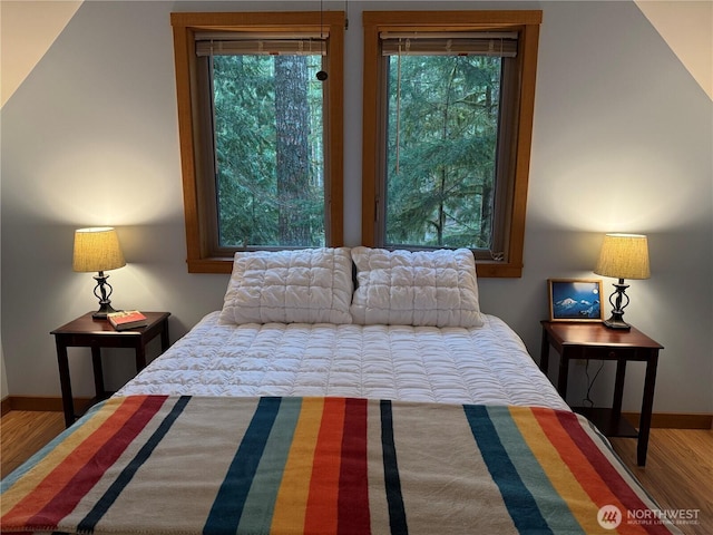 7480 Glacier Springs Dr, Deming, WA 98244 - bedroom with wood finished floors, baseboards, and multiple windows