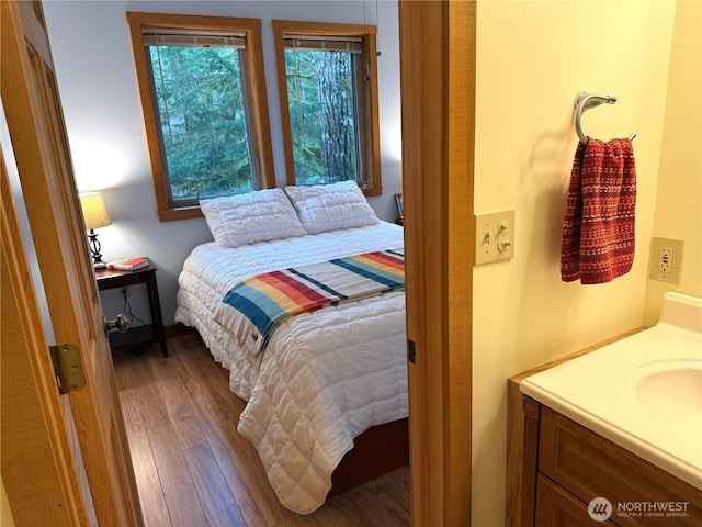 7480 Glacier Springs Dr, Deming, WA 98244 - bedroom featuring wood finished floors and a sink