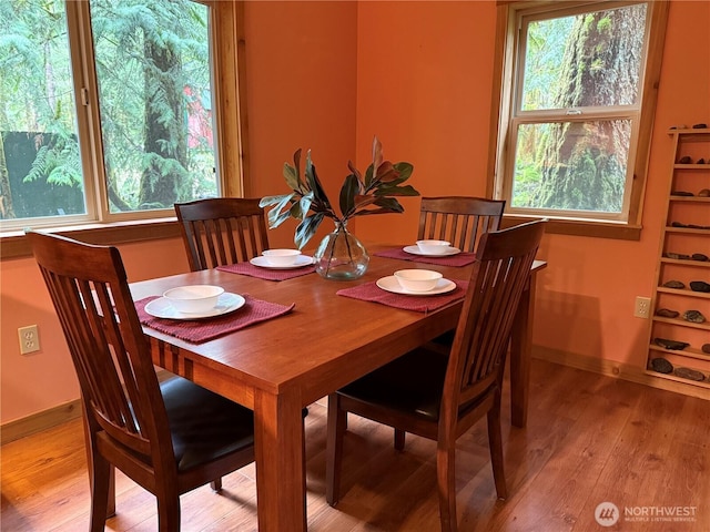 7480 Glacier Springs Dr, Deming, WA 98244 - dining room with light wood finished floors, plenty of natural light, and baseboards