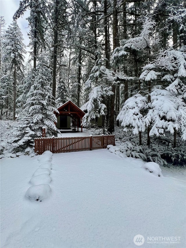 7480 Glacier Springs Dr, Deming, WA 98244 - view of snowy yard