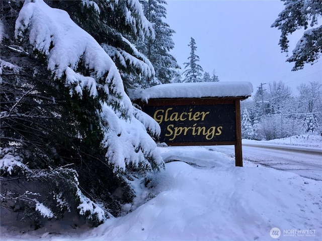 7480 Glacier Springs Dr, Deming, WA 98244 - view of community / neighborhood sign