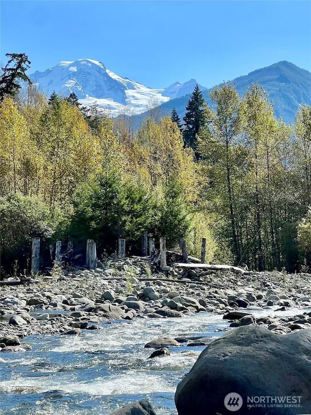 7480 Glacier Springs Dr, Deming, WA 98244 - view of mountain backdrop