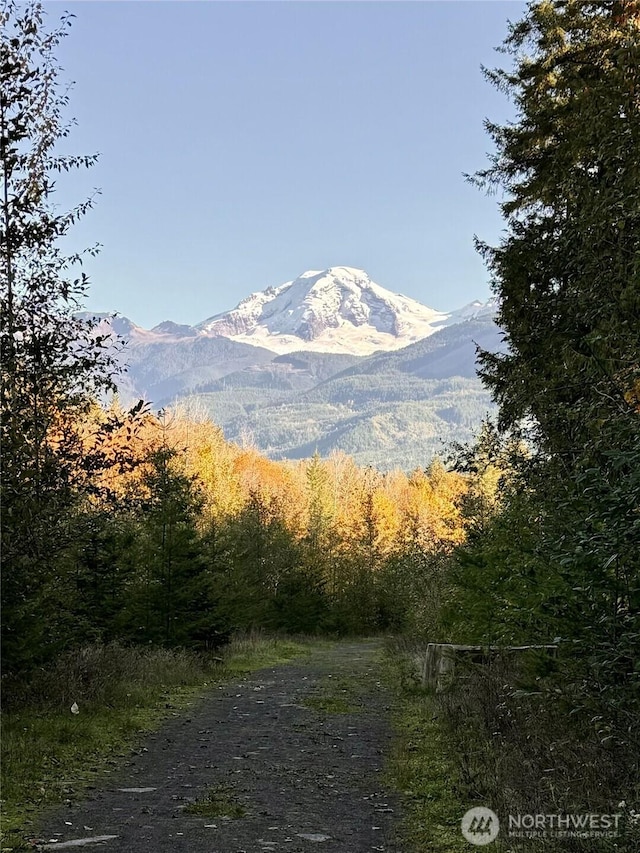 7480 Glacier Springs Dr, Deming, WA 98244 - view of mountain background with a heavily wooded area