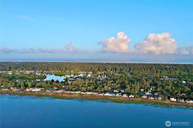 374 Harbor View Loop SE, Ocean Shores, WA 98569 - drone / aerial view of a nearby body of water and a heavily wooded area