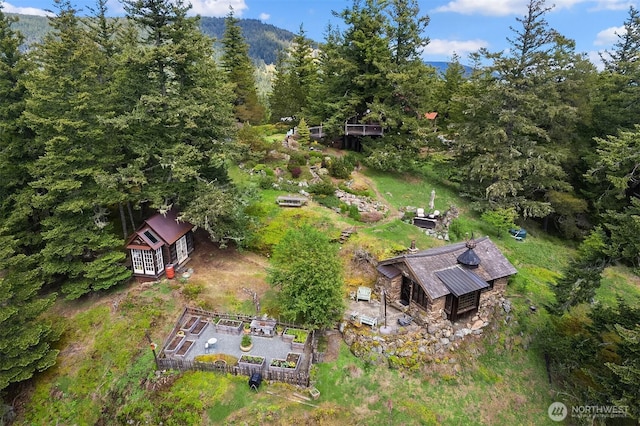 354 Nighthawk Ln, Orcas Island, WA 98279 - aerial view of property and surrounding area featuring a forest