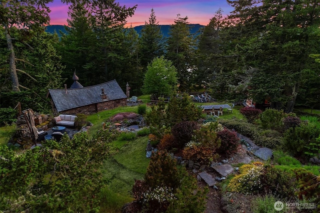 354 Nighthawk Ln, Orcas Island, WA 98279 - aerial view of property and surrounding area with a forest