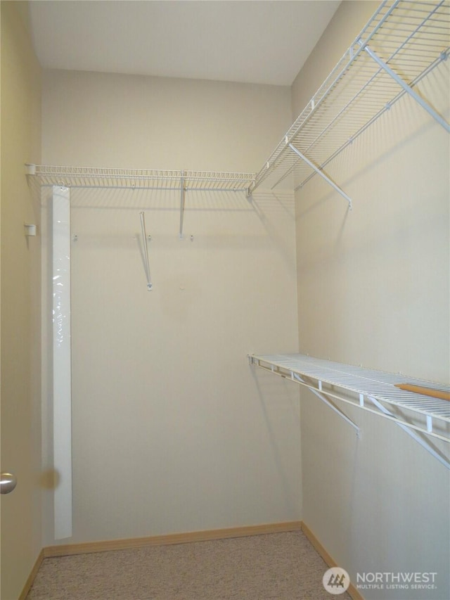 1080 Greenview Ct SW, Ocean Shores, WA 98569 - spacious closet with light colored carpet