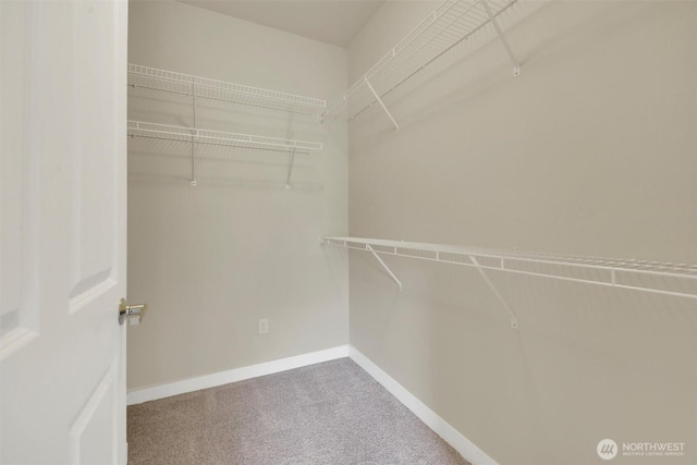 1000 Cabin Creek Ln SW Unit C203, Issaquah, WA 98027 - walk in closet featuring carpet floors