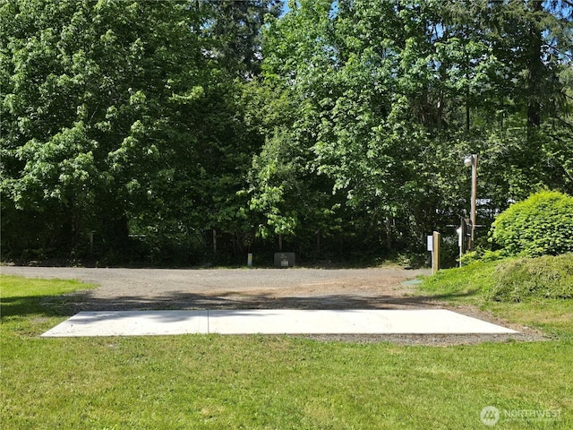 14721 Morris Rd Unit 21, Randle, WA 98377 - view of green lawn