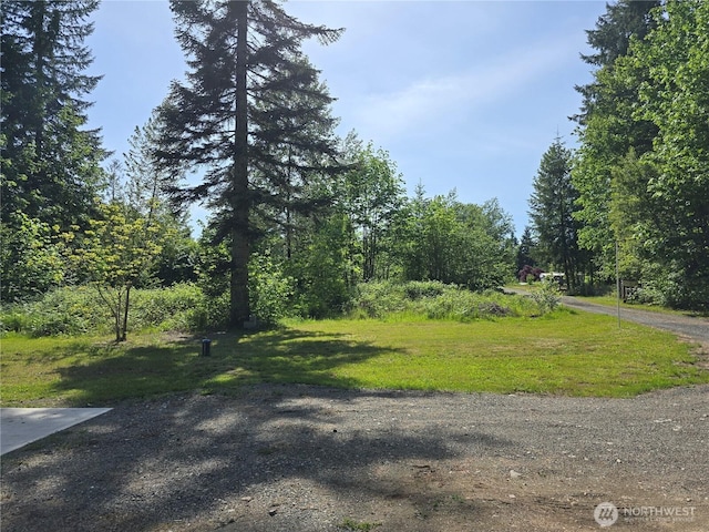 14721 Morris Rd Unit 21, Randle, WA 98377 - view of road