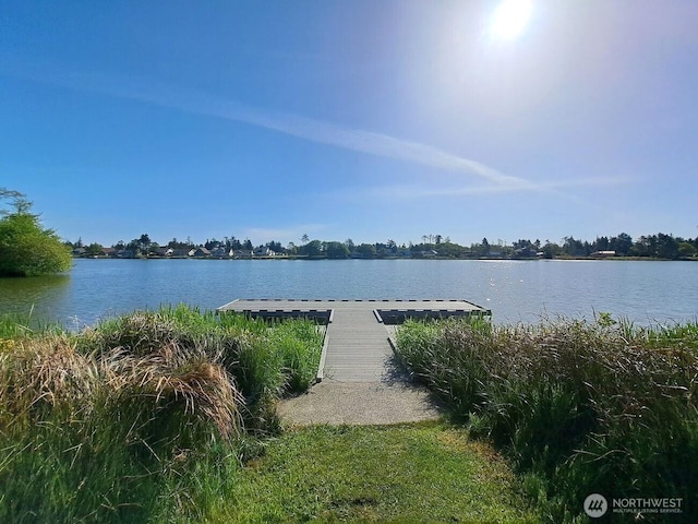 729 Wood Duck Ave SE, Ocean Shores, WA 98569
