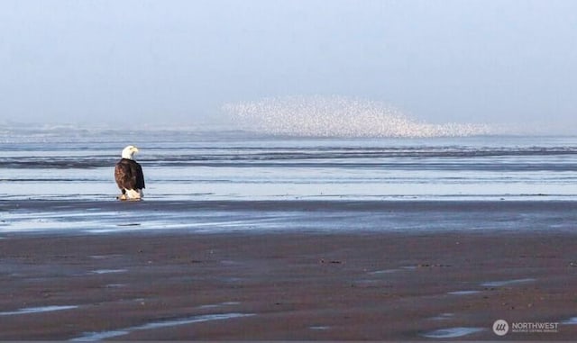 729 Wood Duck Ave SE, Ocean Shores, WA 98569