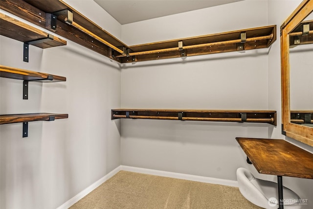 912 77th Dr SE, Lake Stevens, WA 98258 - spacious closet featuring carpet floors