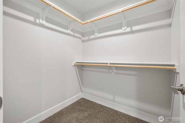 4247 W Sandy Ct, Moses Lake, WA 98837 - walk in closet featuring dark carpet