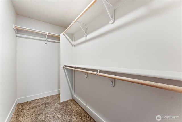 202 N Sandy Loop, Moses Lake, WA 98837 - walk in closet with carpet