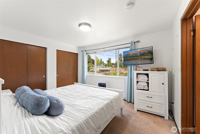 10319 SE 228th St, Kent, WA 98031 - bedroom featuring light colored carpet and multiple closets