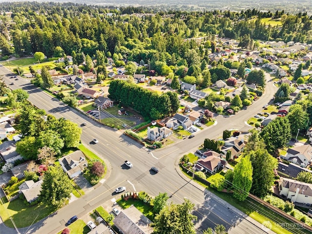 10319 SE 228th St, Kent, WA 98031 - aerial view of residential area