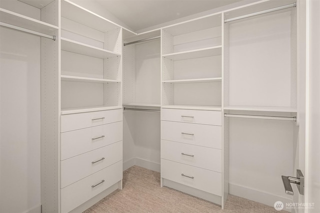 10304 NE 113th Pl Unit B, Kirkland, WA 98033 - spacious closet with light colored carpet