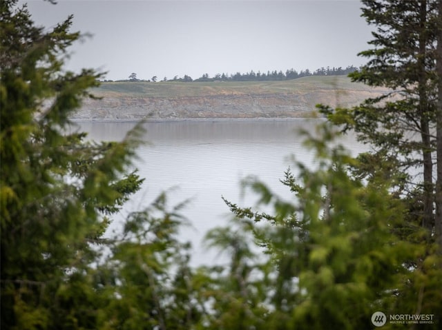 300 N St, Sequim, WA 98382 - water view